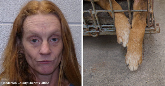 Split image of a woman’s mugshot and a dog’s legs confined behind a metal cage.