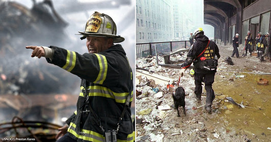 On the left, an FDNY deputy chief in turnout gear points urgently amid smoking rubble; on the right, a rescue worker with a search dog navigates debris-strewn streets.