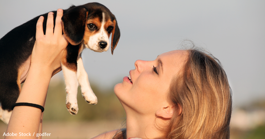 10 Tips for First Time Dog Owners (And Mistakes to Avoid)