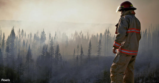 Los Angeles Wildfires Push FEMA to Deliver Urgent Aid for Survival and Recovery