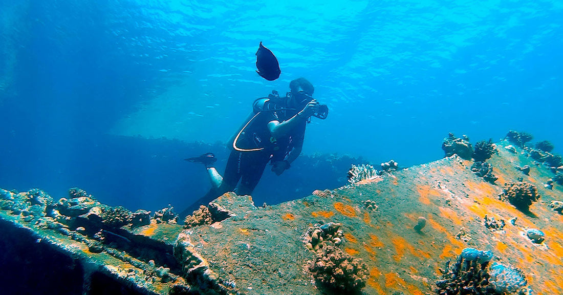 A diver investigates a shipwreck in blue waters.