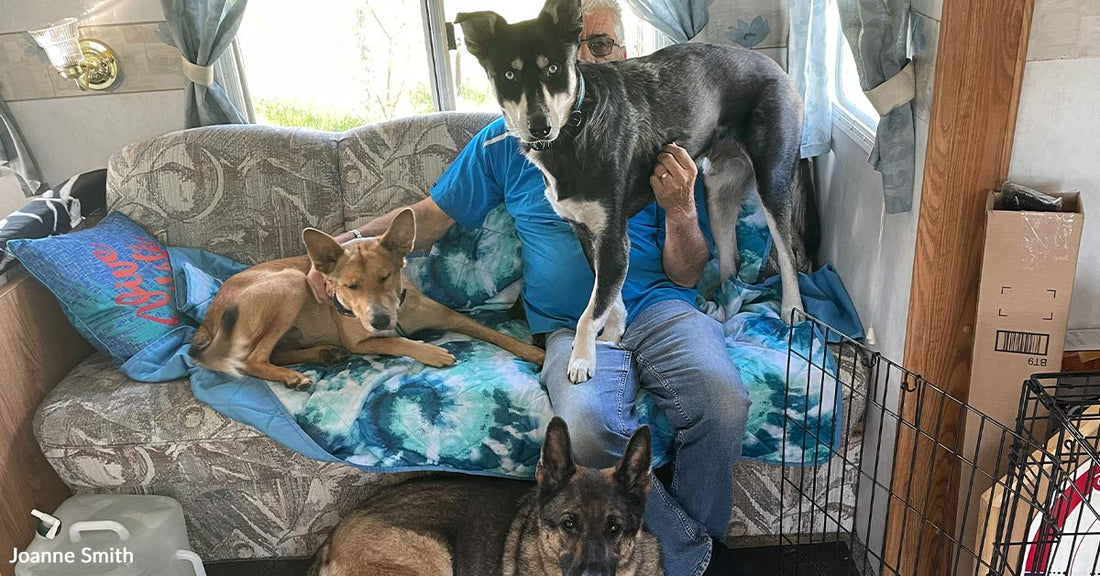 Person seated on a couch in an RV with three dogs around him, including a Husky mix standing on his lap and a small tan dog resting beside him.