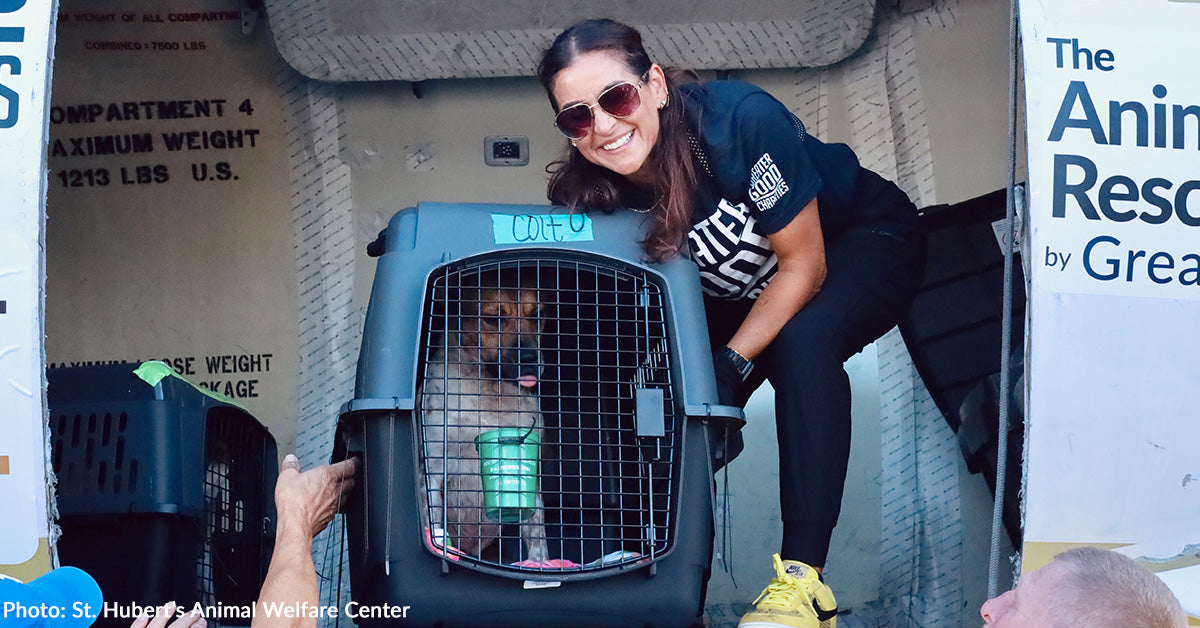 Over 80 Shelter Pets Get Fresh Start in New Jersey Thanks to Flight to Freedom