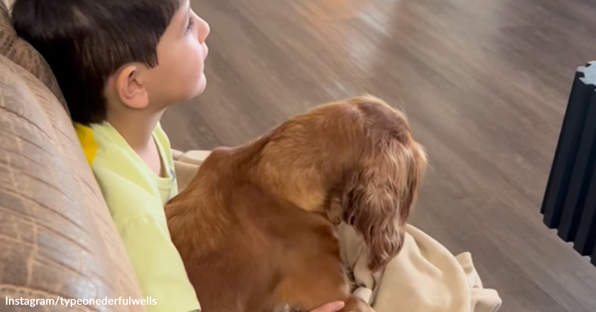 Service Canine Saves Diabetic Boy Then Refuses To Depart His Facet Service Canine Saves Diabetic Boy Then Refuses To Depart His Facet