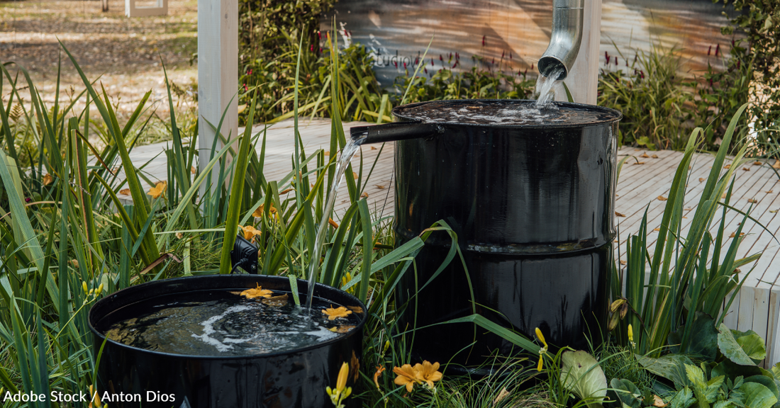 10 Ways You Can Nurture A More Sustainable Garden