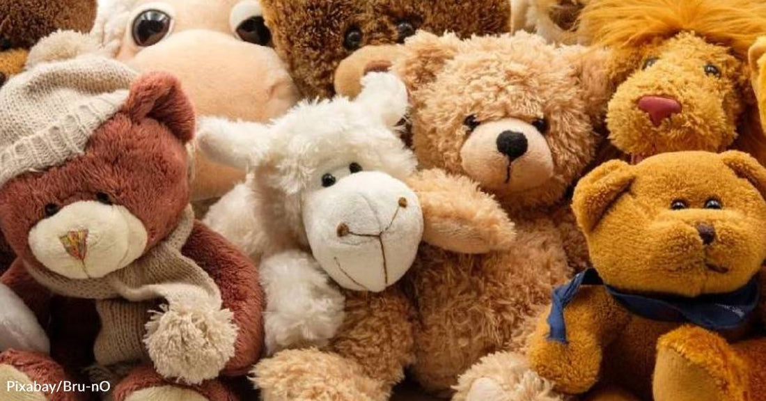 A Judge Makes a Child’s Dream Come True by Letting Him Adopt Teddy Bears