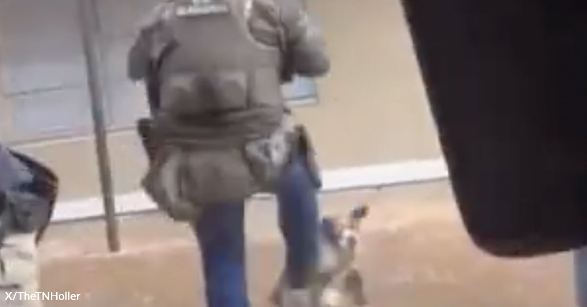 Video Exhibits U.S. Marshal Kicking a Small Canine Throughout Arrest Video Exhibits U.S. Marshal Kicking a Small Canine Throughout Arrest
