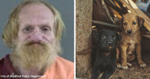 Split image showing the same bearded man’s mugshot alongside two small puppies sitting in a rough, dirt-covered area.