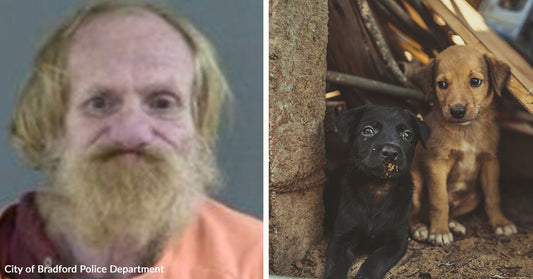 Split image showing the same bearded man’s mugshot alongside two small puppies sitting in a rough, dirt-covered area.