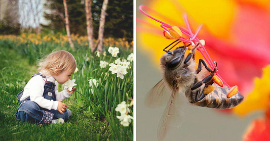Millions In France Fight For Ban On Toxic Chemical Still Legal on American Produce