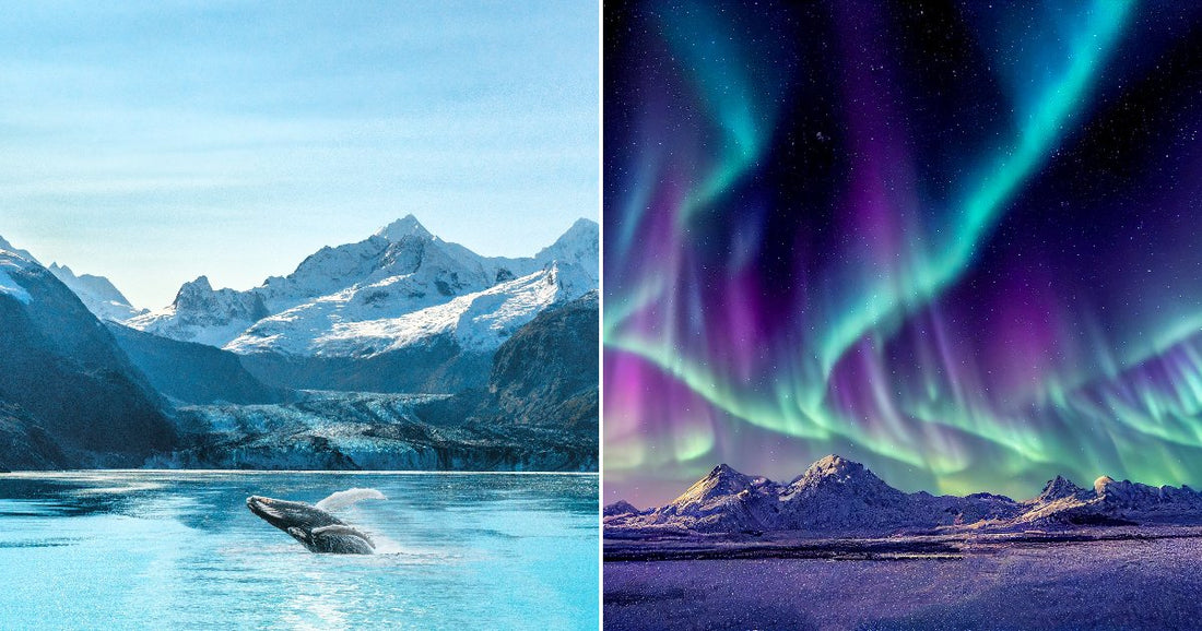 On the left, a humpback whale breaches glacial turquoise waters before snow-capped mountains; on the right, vivid green and purple aurora borealis swirls above a snowy mountain landscape.