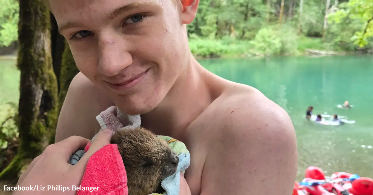 Teen Hears Cries Whereas Tubing And Pulls Week-Previous Child Beaver From Water Teen Hears Cries Whereas Tubing And Pulls Week-Previous Child Beaver From Water