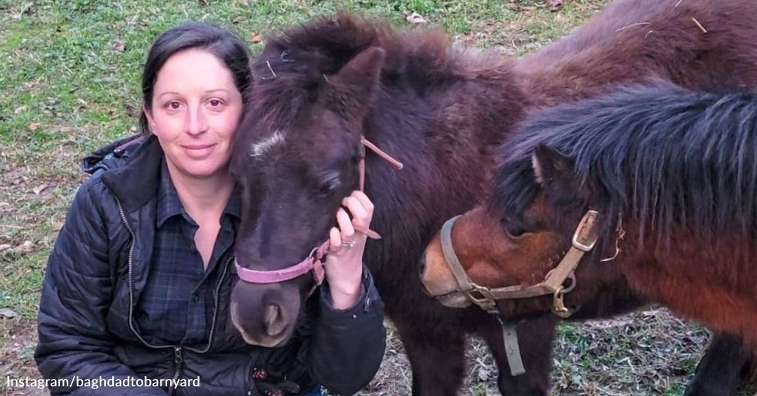 Army Veteran Couple Was Floundering in Civilian Life - Until They Started This Eccentric Farm