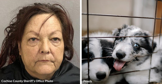 Former Animal Control Officer Faces Nearly 150 Charges in Animal Cruelty Scandal