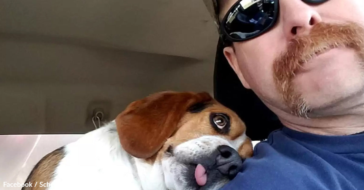 Shelter Canine’s “Freedom Hug” Captured in a Photograph That Broke Hearts All over the place