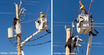 A bear climbs a utility pole while a worker is above.