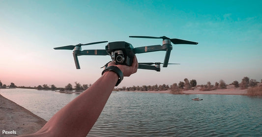 NYC's Beach Drones Under Attack as Birds Fight Back to Protect Nests