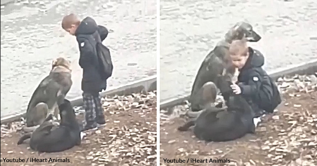 Young Kid Gets Caught Making An Unusual Detour On His Way To School