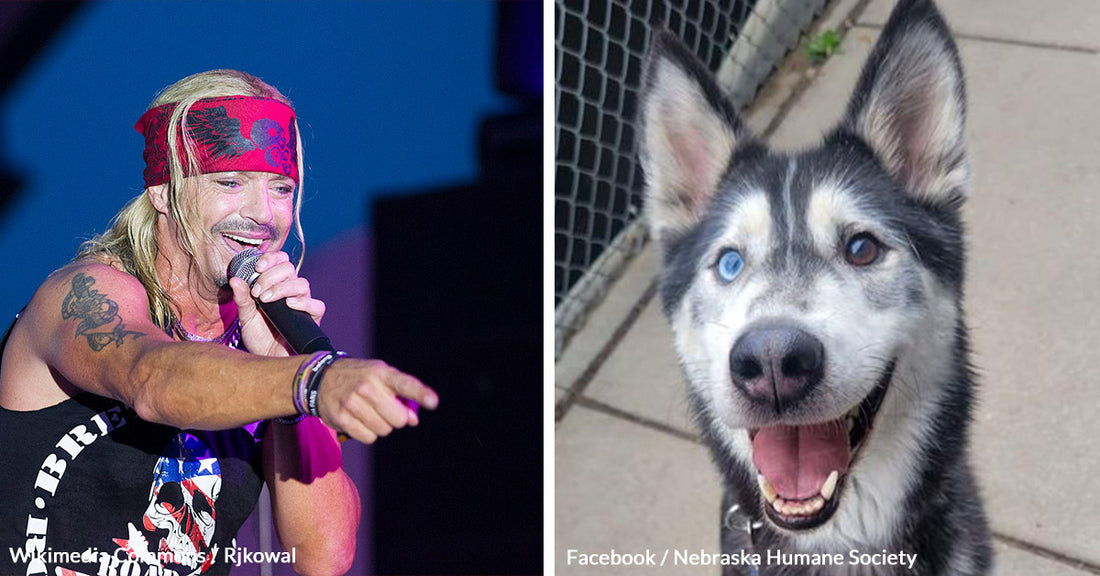 Rockstar Bret Michaels Adopts Hero Dog After Life-Saving Act