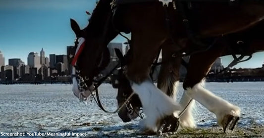Budweiser's Iconic "Respect" Commercial Will Re-Air for 25th Anniversary of 9/11