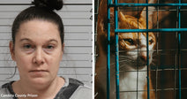 Split image of a woman’s mugshot beside an orange-and-white cat peering out from behind blue cage bars.