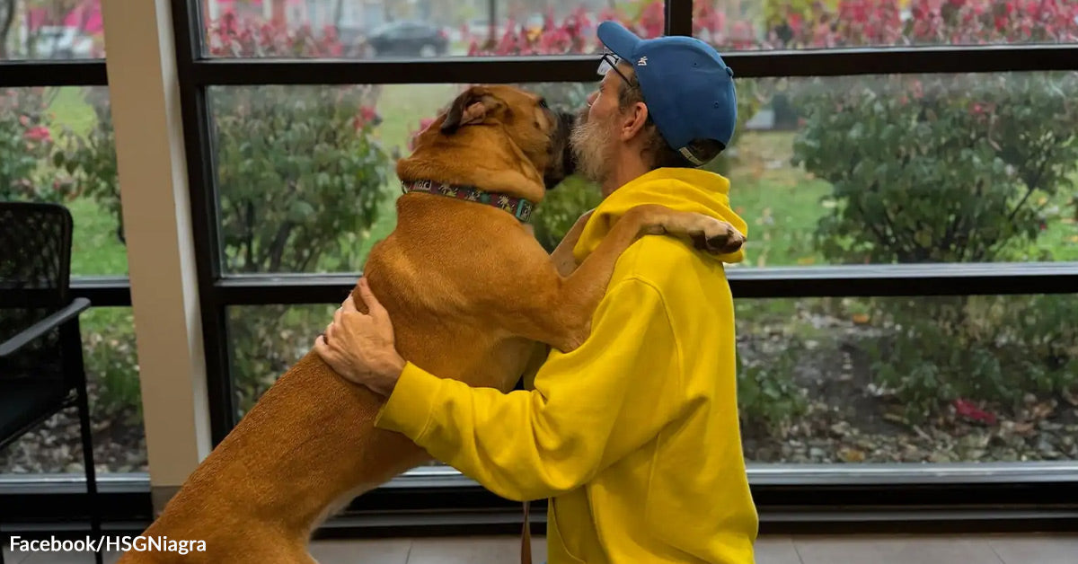 Most cancers Survivor Reunites With Canine He Was Pressured To Give up Years Earlier Most cancers Survivor Reunites With Canine He Was Pressured To Give up Years Earlier