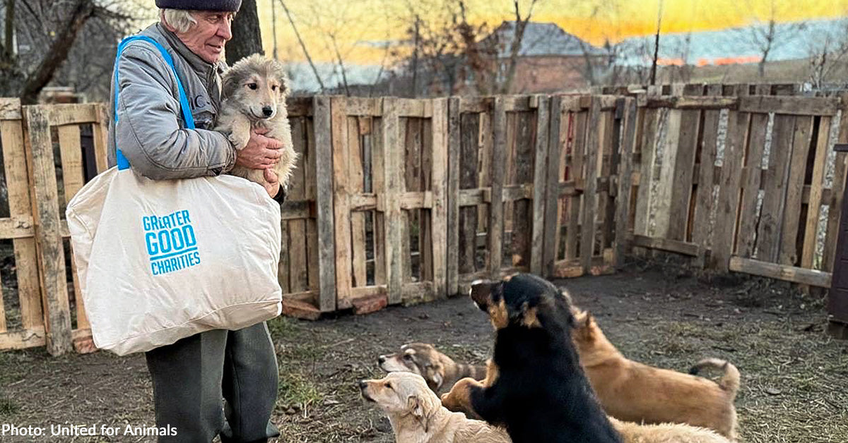 Ukrainians Flee the Frontlines Bringing the Dozens of Animals They Rescued with Them Ukrainians Flee the Frontlines Bringing the Dozens of Animals They Rescued with Them