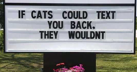 15 Of The Funniest And Most Accurate Cat Jokes That Vet Clinics Put Up On Their Signs