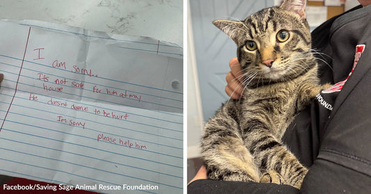Handwritten note on lined paper apologizing and asking for help for an animal left in an unsafe home. Tabby cat being held in someone’s arms indoors, looking alert and calm.