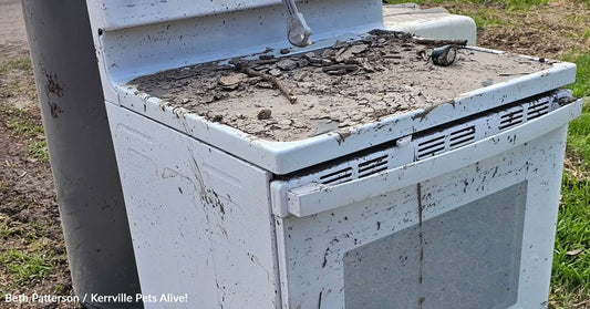 A dirty, abandoned stove covered in mud and debris.