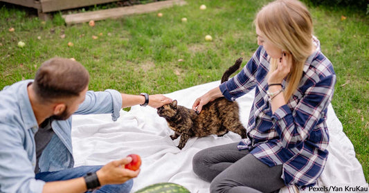 Couple Fights Sister for Custody of Family Cat