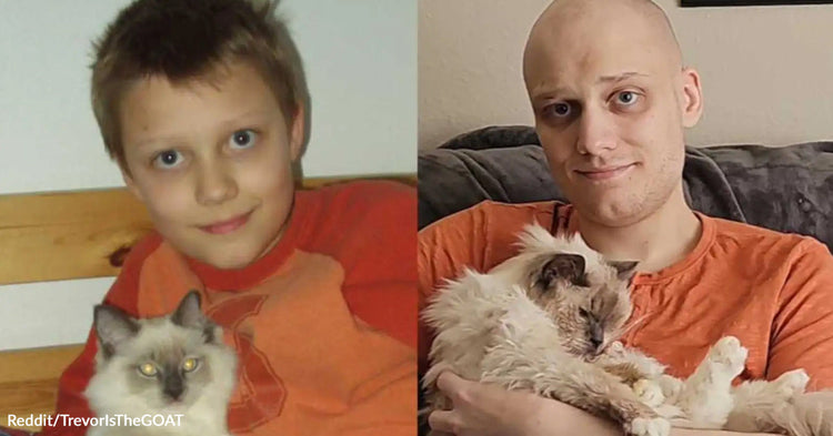 Man Recreates Childhood Photo with Beloved Cat, Saying Goodbye 20 Years ...