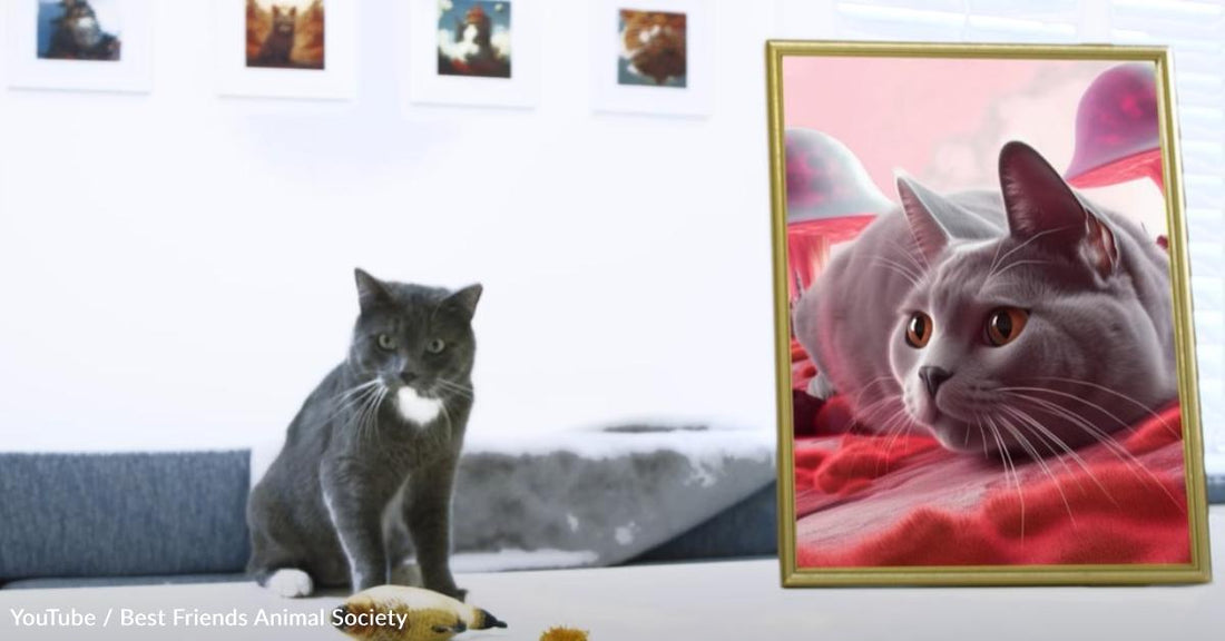 Cats Make Beautiful AI Artwork And Find A New Home