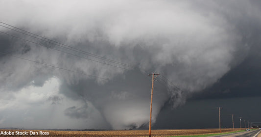 Devastating Tornadoes Tear Across Central U.S. Displacing Thousands of People and Pets