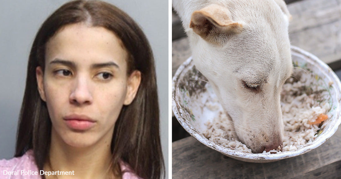 Tan dog tethered to a tree with a chain, standing on grass and looking outward. Mugshot of a woman next to a white dog eating from a bowl outdoors.