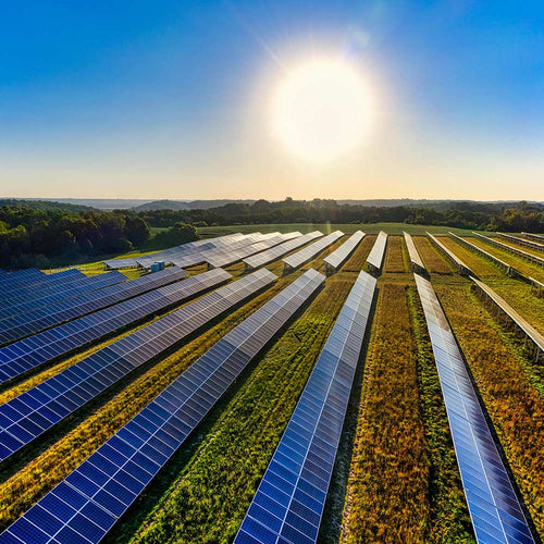 China is Making Us Look Silly! Tell Washington to Step It Up on Renewable Energy