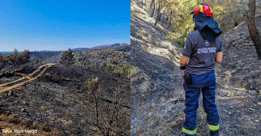 Five Wildfires Lead to Evacuations, Destroyed Homes on Greek Island