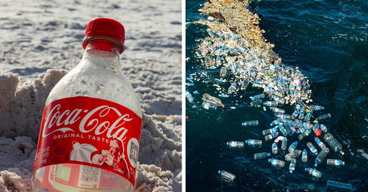 A side-by-side image showing a Coca-Cola bottle on a sandy beach next to a large patch of plastic bottles floating in the ocean.