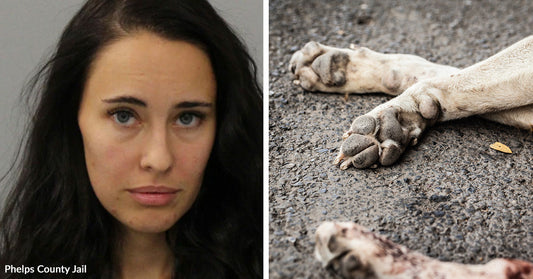 Split image showing a mugshot of a dark-haired woman beside a close-up of a dead dog’s paws lying on pavement.