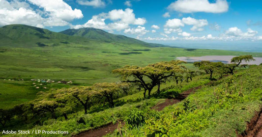 More Than 190 Countries Reach Deal at COP15 Summit to Halt Nature Loss