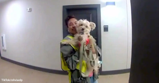 Doorbell camera view of custodian holding a curly white dog.