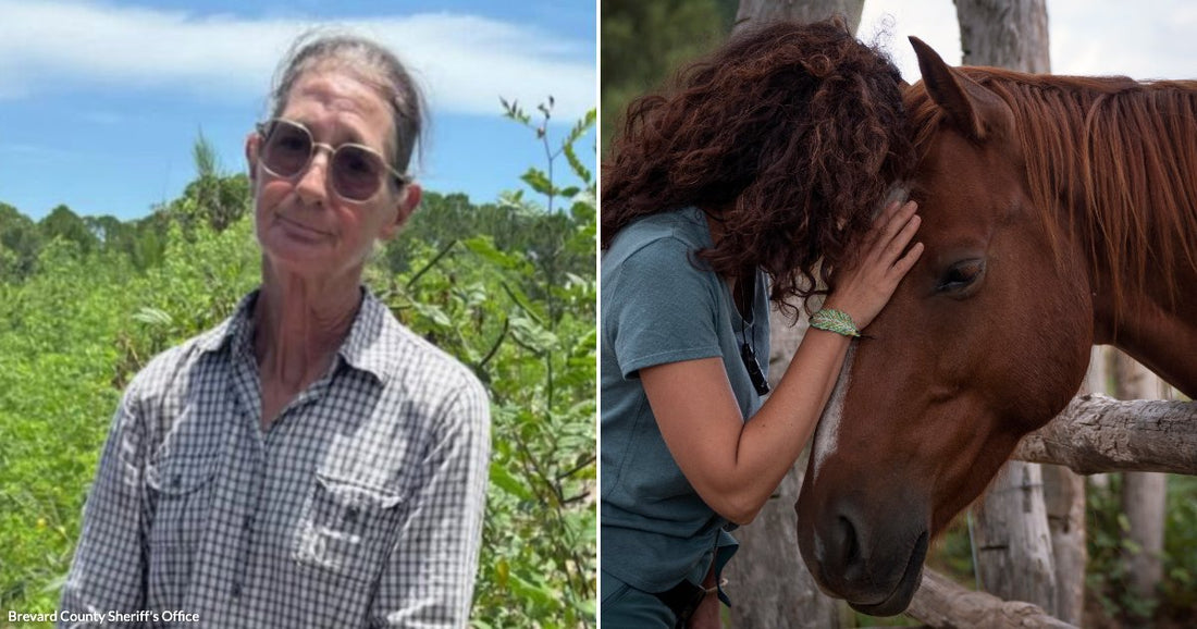 On the left, an older person in a plaid shirt and sunglasses stands handcuffed outdoors; on the right, a curly-haired person tenderly rests their head against a chestnut horse.