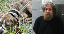 On the left, a brindle dog lies on grass; on the right, a bearded man with curly hair sits in a jail cell.