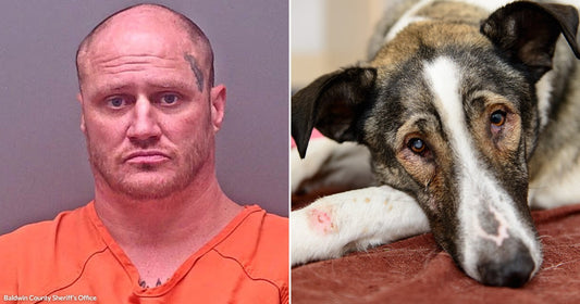 On the left, a heavyset man with a shaved head and face tattoo wears an orange jumpsuit; on the right, a tired-looking dog with visible wounds rests on a blanket.