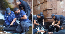 On the left, three people in blue uniforms tend to a small shark on wet ground; on the right, a larger group works near a rusty ship hull.