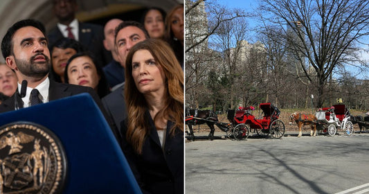Left, New York City Mayor Zohran Mamdani and New York City Council Speaker Julie Menin. Right, a line of carriages pulled by horses.