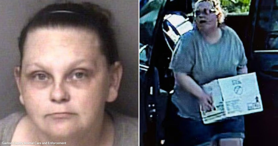 On the left, a woman with dark pulled-back hair poses against a gray background; on the right, a heavyset woman with curly hair carries papers near a dark vehicle outdoors.