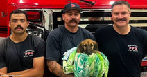 Three firefighters in navy Portersville Fire Department shirts stand before a red fire truck, one holding a small puppy wrapped in a colorful blanket.