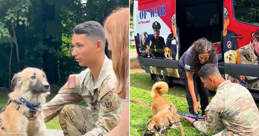 On the left, a soldier and a woman sit outdoors with a fluffy dog; on the right, a soldier kneels to greet the same dog beside a van.