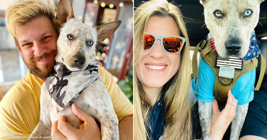 Split image of a woman and dog in a car alongside a man holding the same dog indoors.